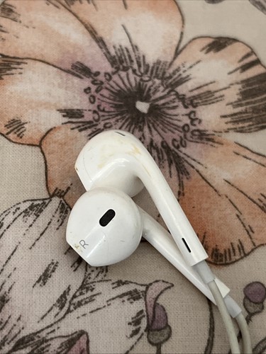 Apple auricolari con - auricolari,